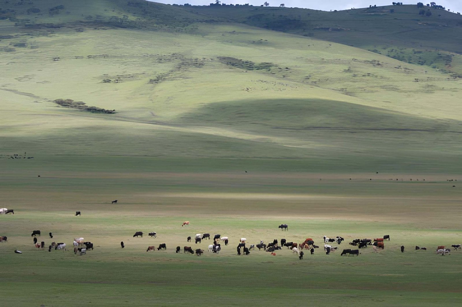 Ngorongoro Highlands landscape