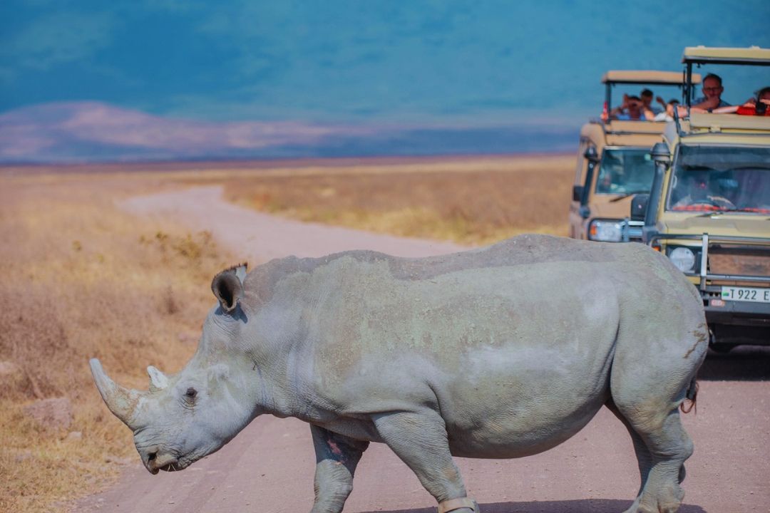 Ngorongoro Crater