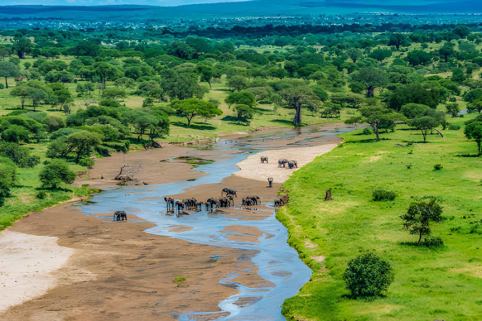 African wildlife gathering near the Tarangire River