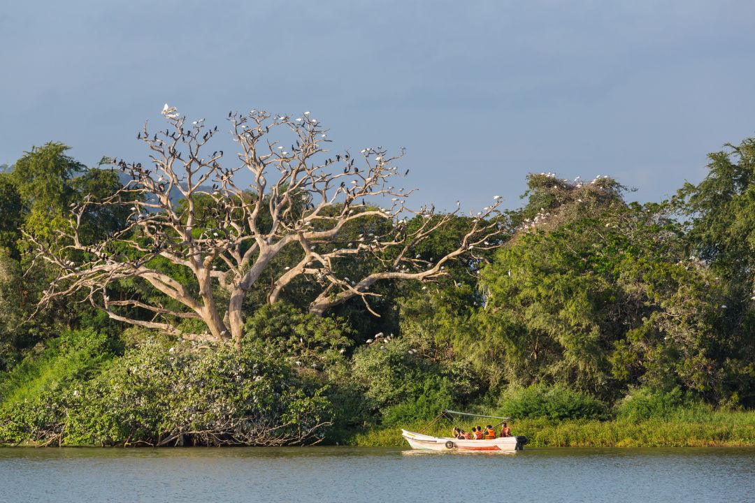Boat safari on the Rufiji River in Nyerere National Park