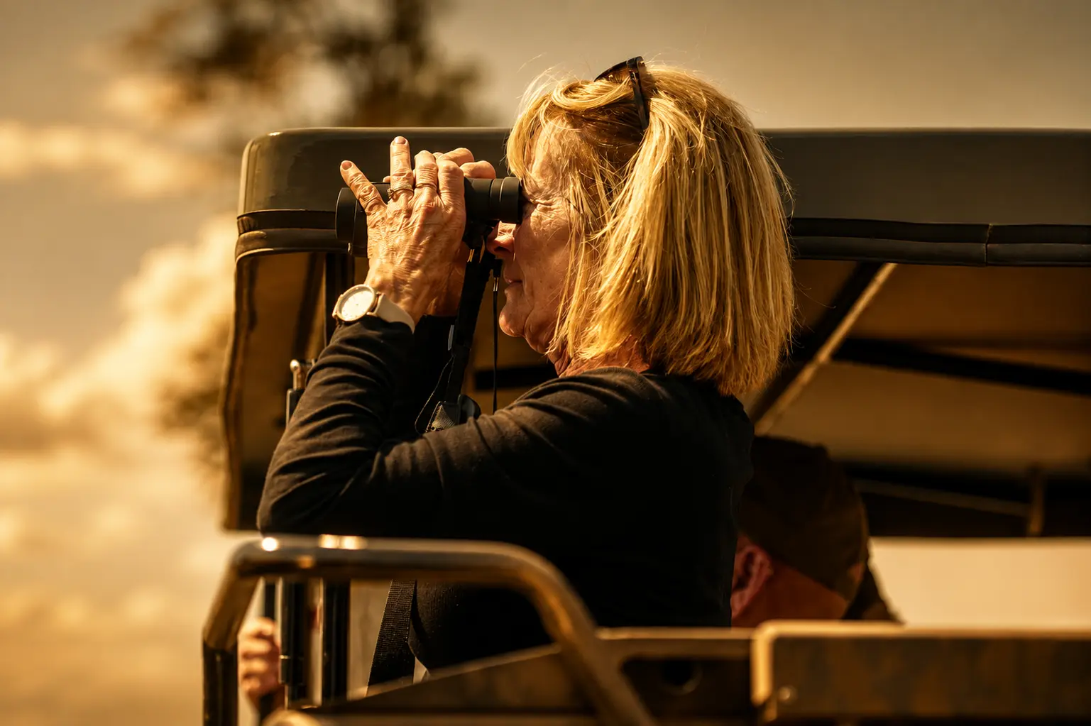 Game drives in a private 4x4