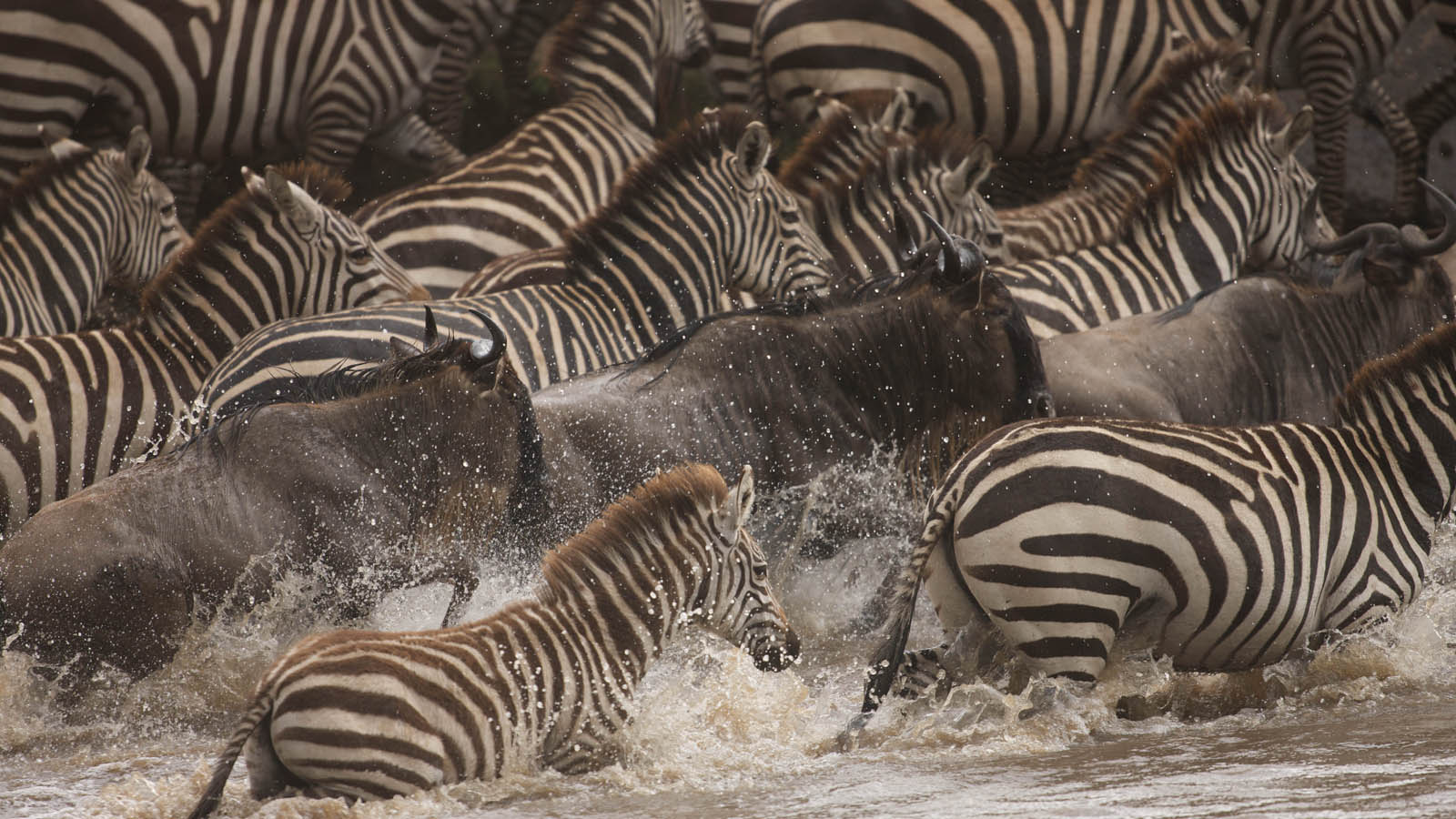 Serengeti National Park