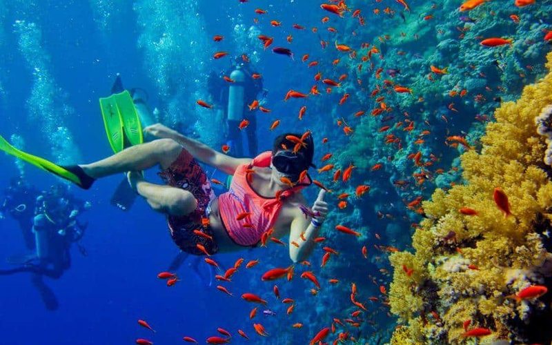 Snorkelling in Zanzibar