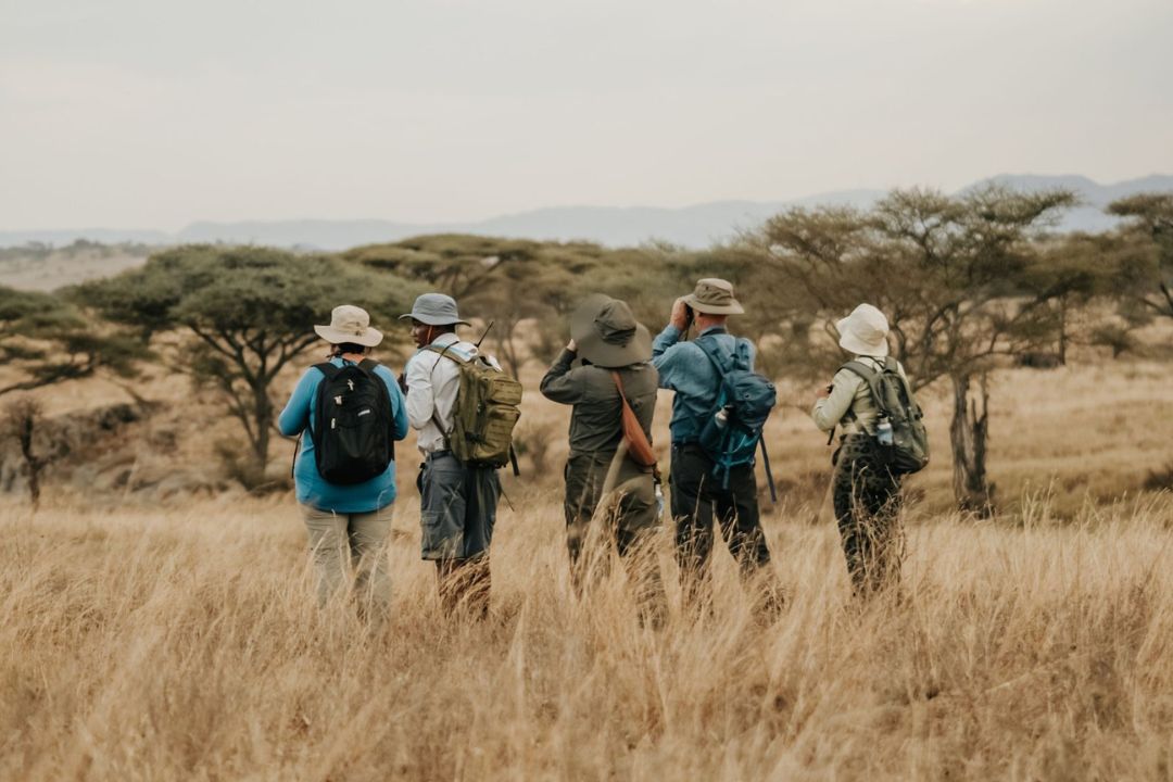 Walking safaris