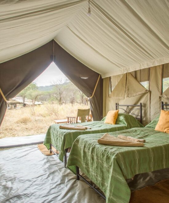 safari accomodations